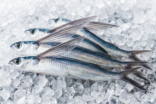 FRESH FLYING FISH