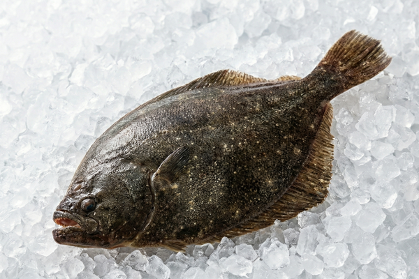  ROUGHSCALE SOLE