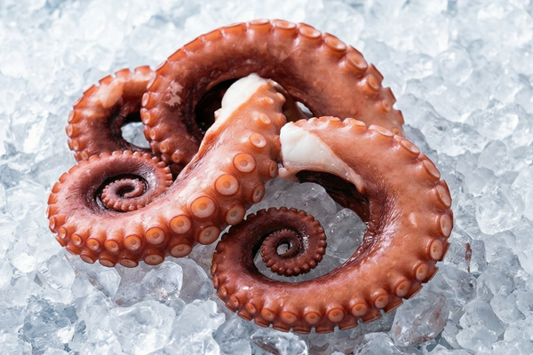 OCTOPUS ARM
