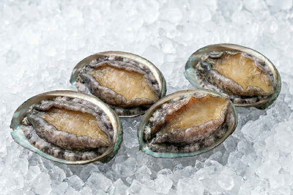 KOREAN ABALONE