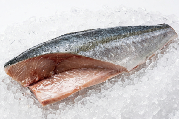 YELLOWTAIL FILLET
