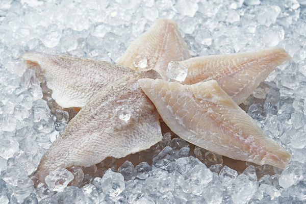 SEA BREAM FILLET 
