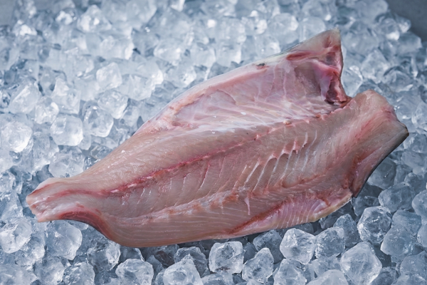 GREATER AMBERJACK FILLET