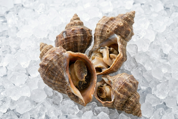 WHELK