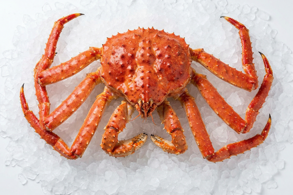 RED KING CRAB
